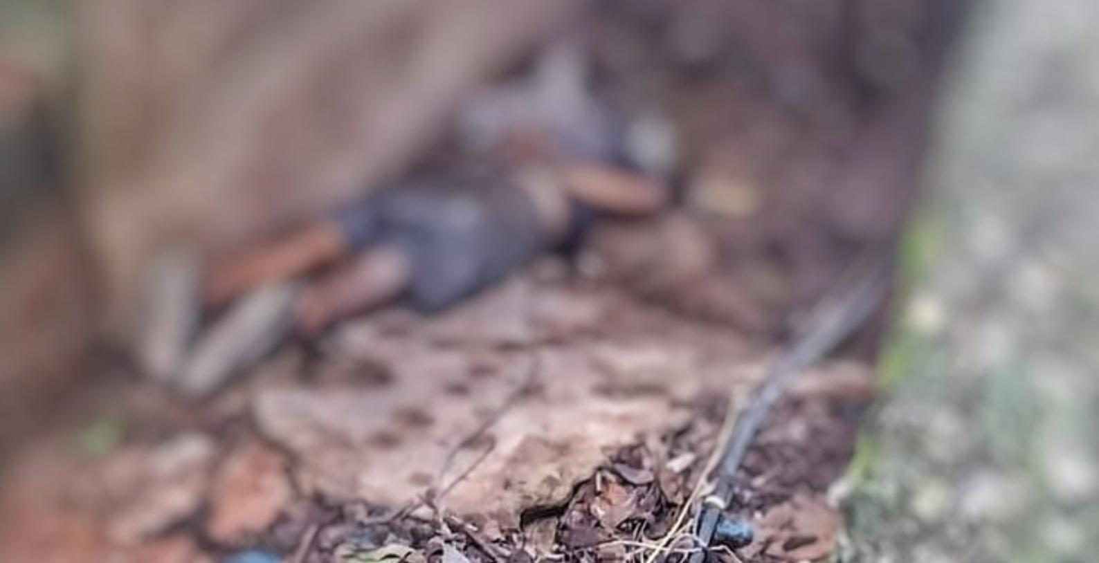 Homem com mãos amarradas é encontrado morto no São Raimundo