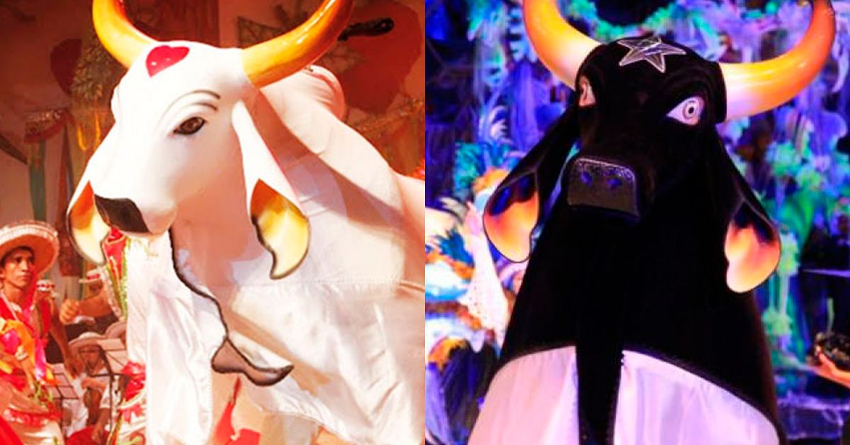 Amazon Best divulga novas informações sobre ingressos para o Festival de Parintins