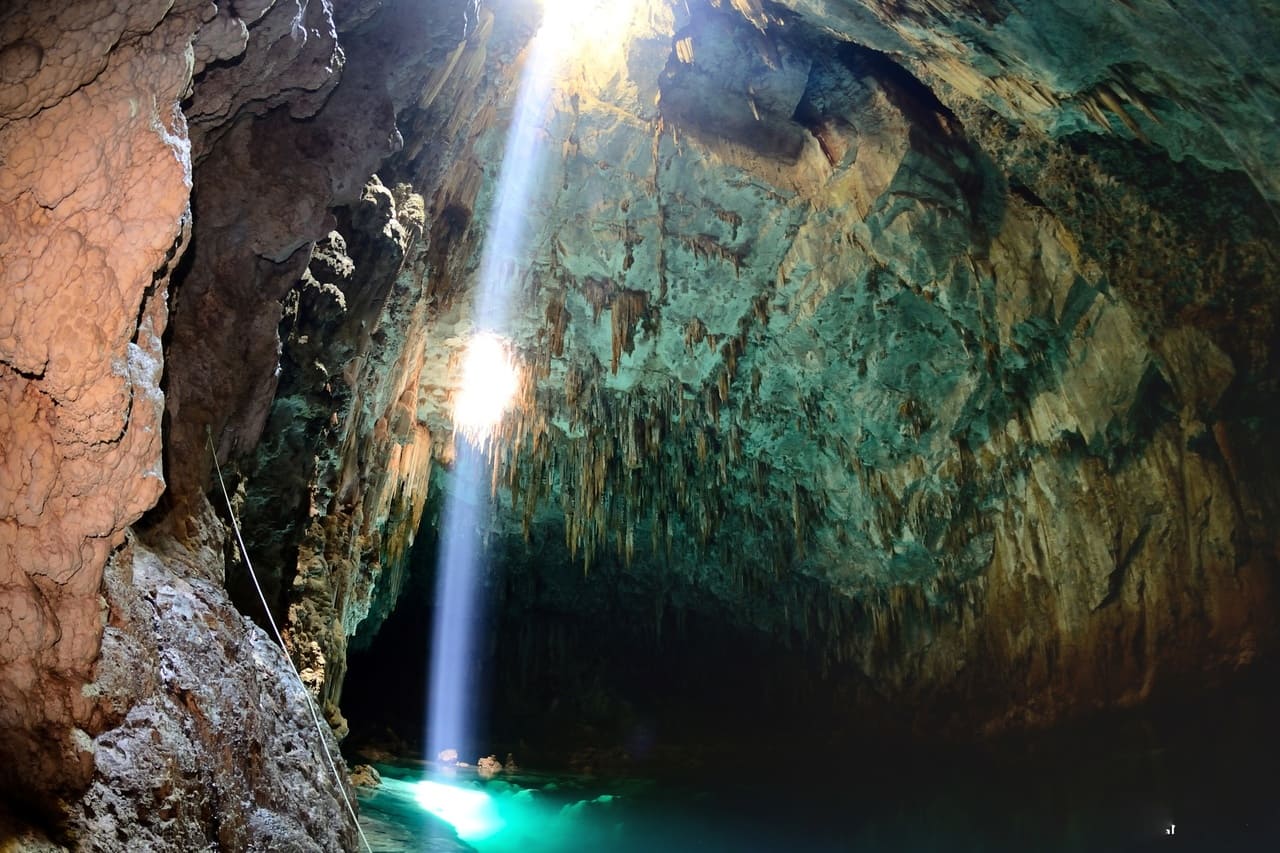 Segunda exposição de visita virtual ao museu inicia em fevereiro