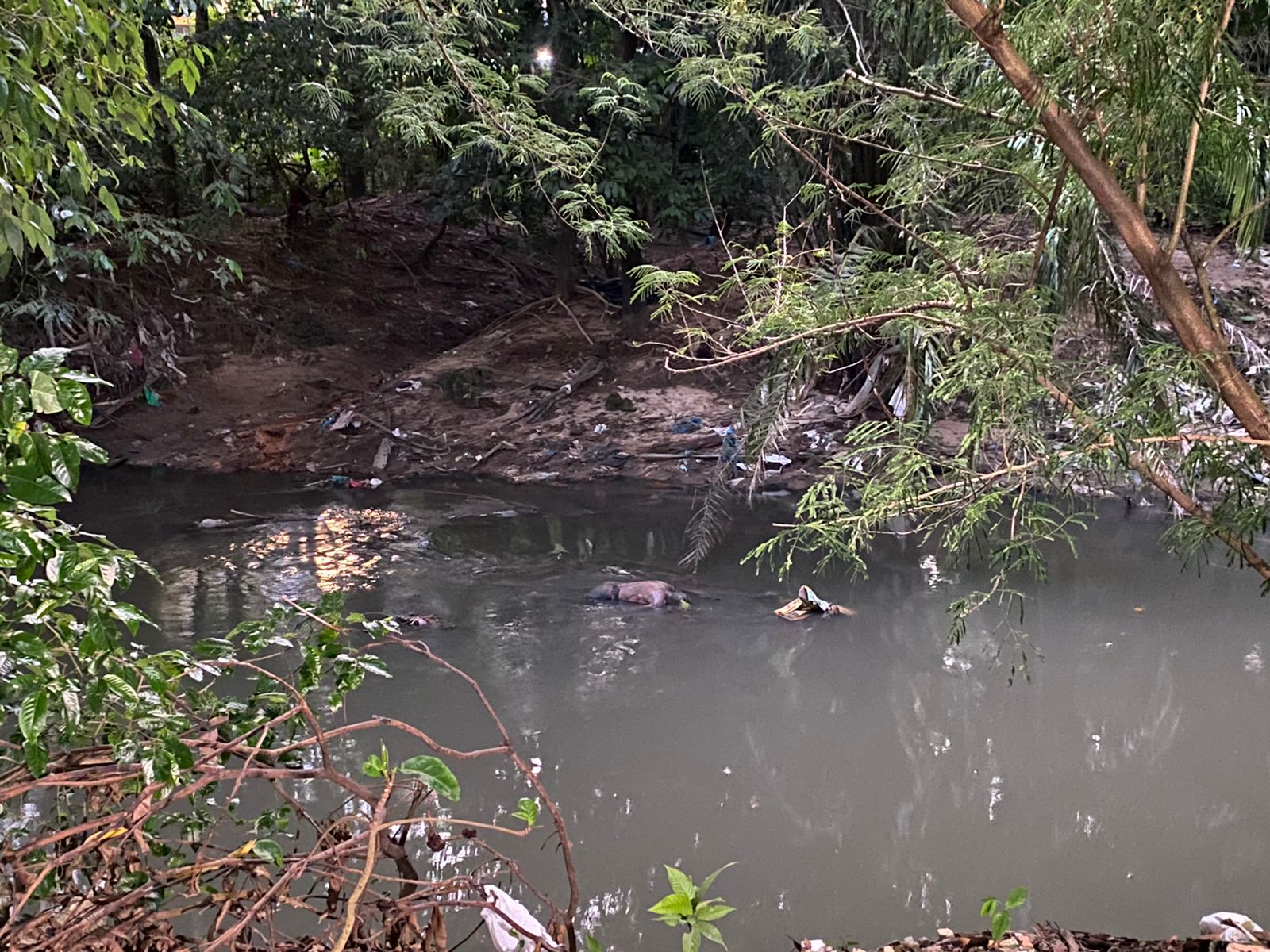 Corpo de homem é encontrado dentro de igarapé em Manaus