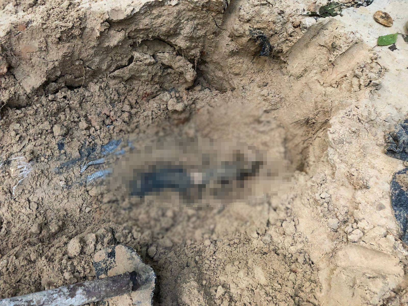 Dupla é esquartejada e enterrada em cova rasa no interior do AM