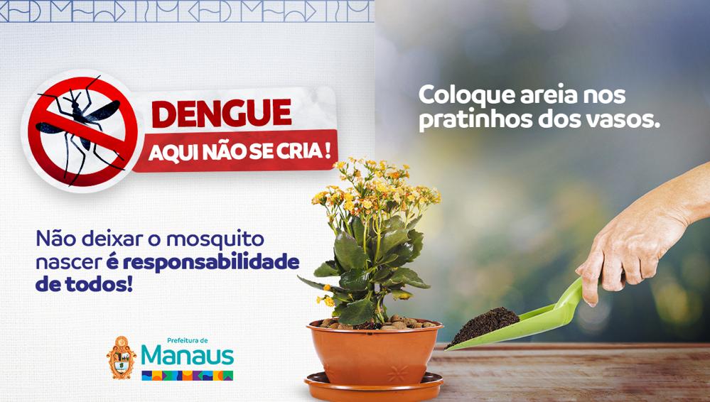 Dengue: aqui não se cria