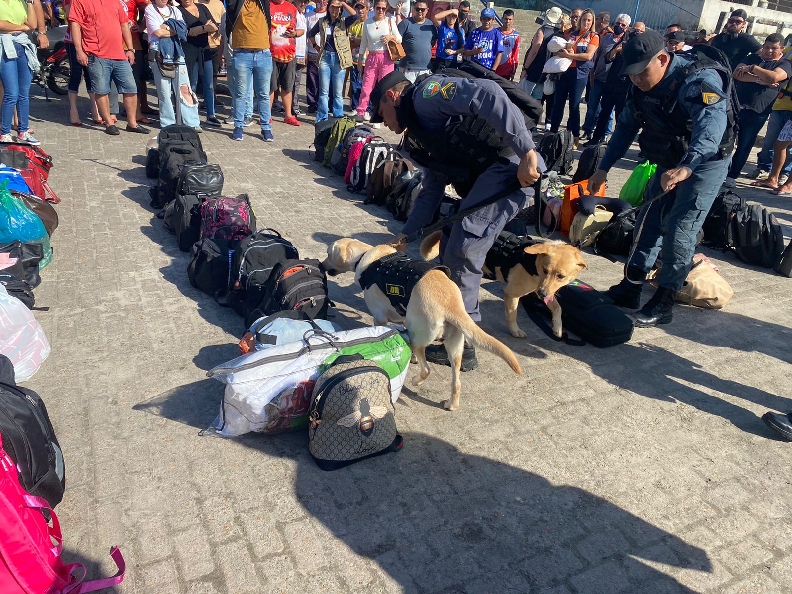 Polícia faz operação em Parintins para identificar turistas com drogas
