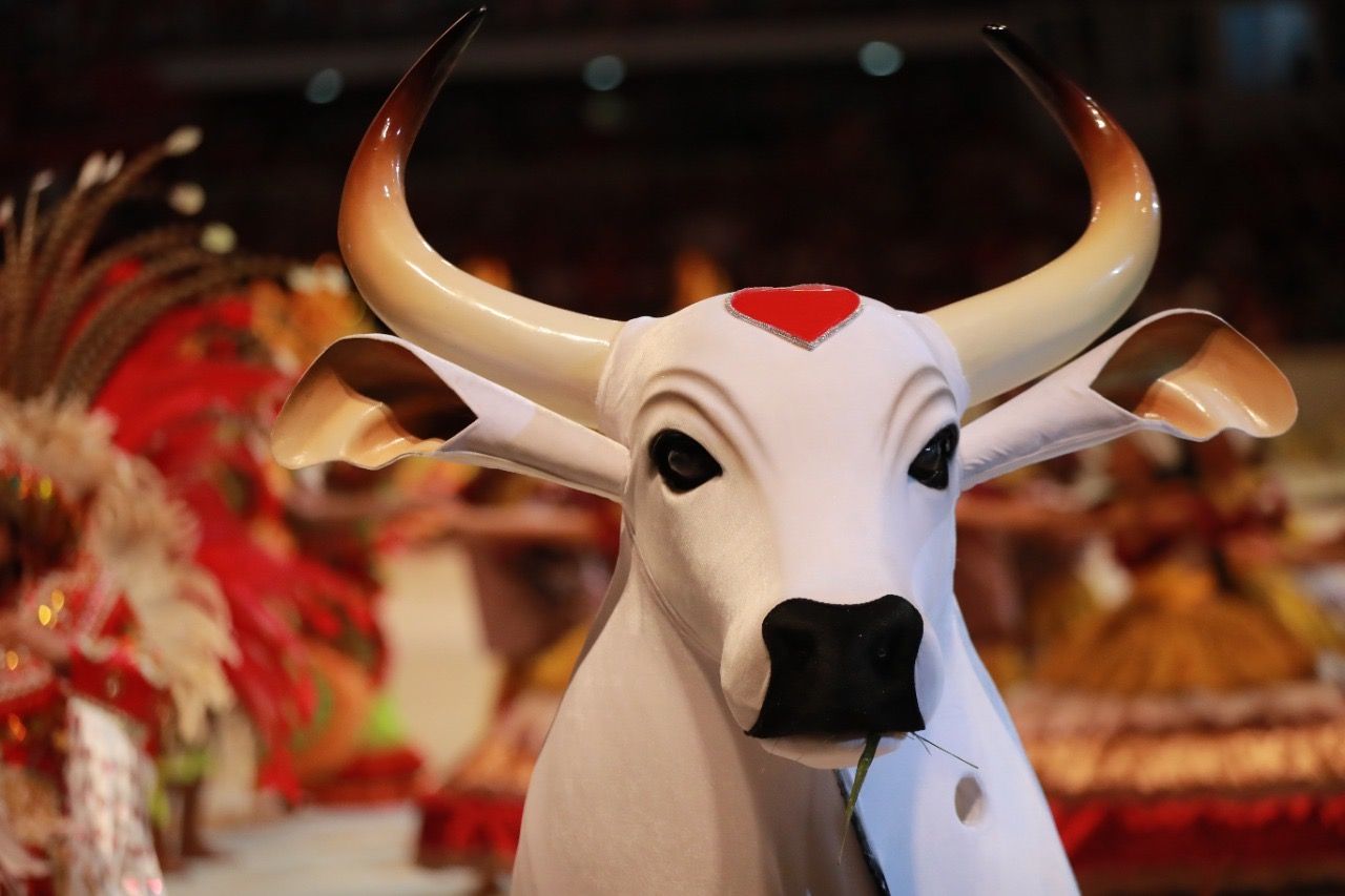 Garantido recorrer à garra e emoção para superar problemas internos