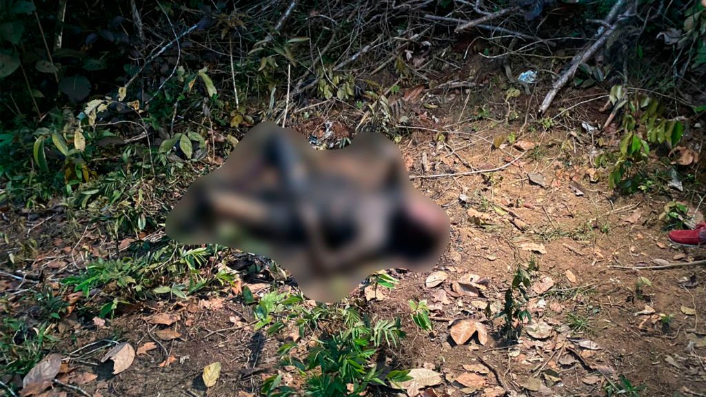 Populares encontram corpo carbonizado no Tarumã