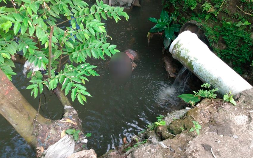 Corpo é encontrado em meio a jacarés em igarapé de Manaus