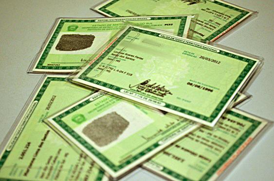 Criminosos utilizam documentos falsos para aplicar golpes em instituições bancárias