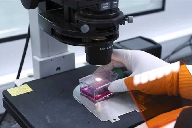 Secretaria descarta caso suspeito de varíola dos macacos no AM