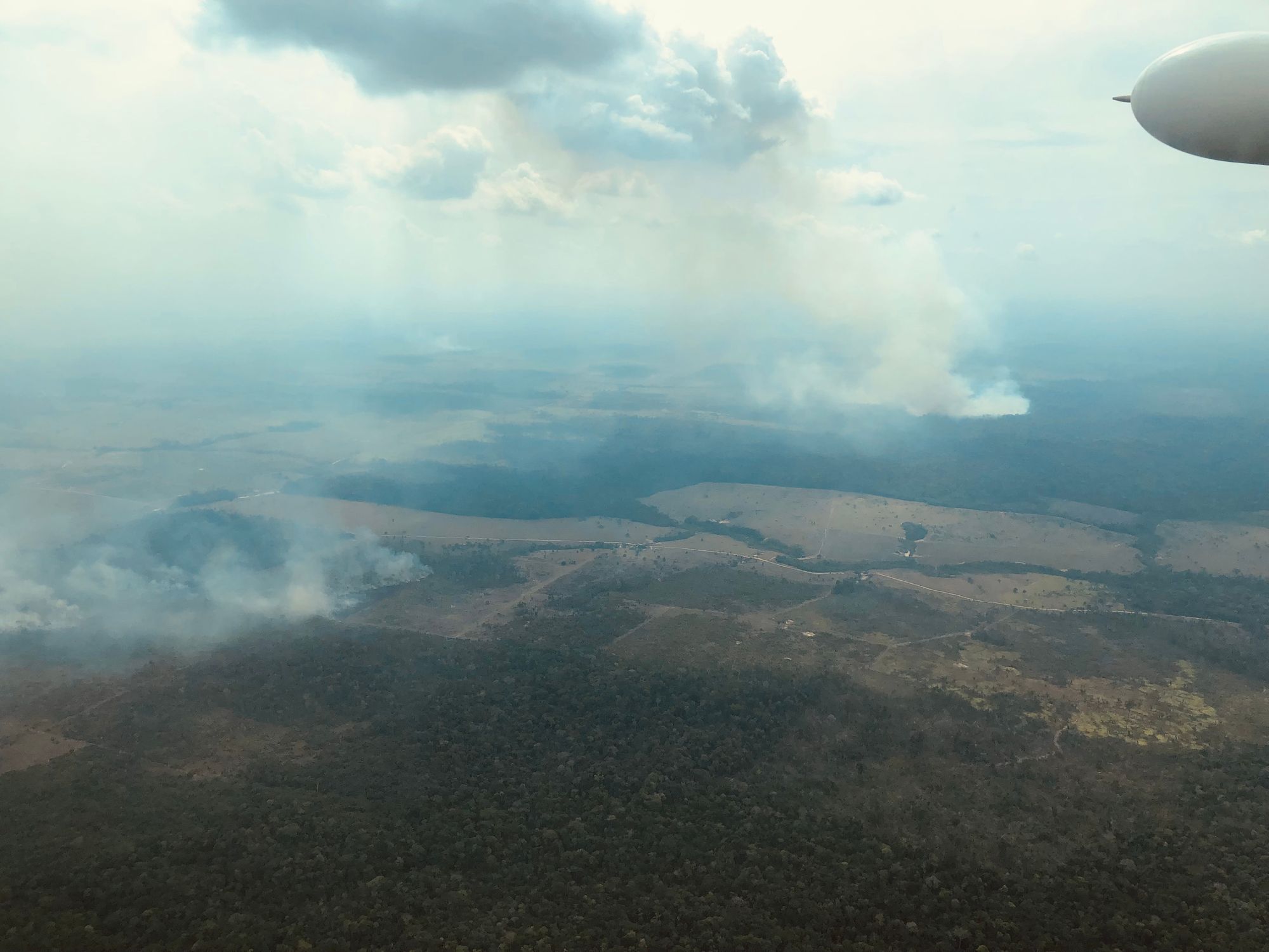 Greenpeace denuncia desmatamento de mais de 1,8 mil hectares no sul do AM