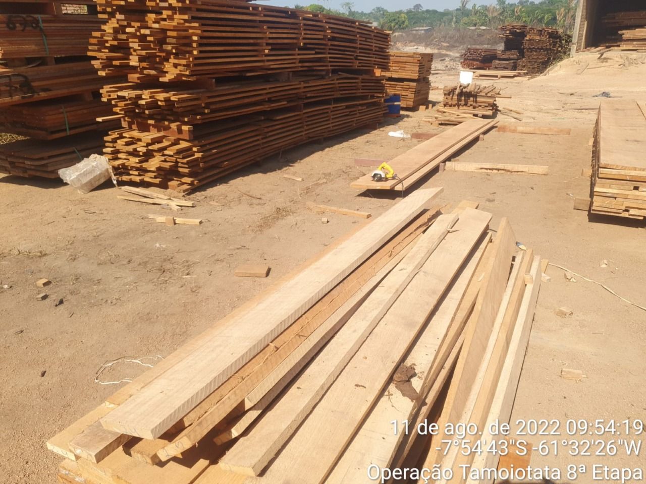 Operação aplica mais de R$ 10 milhões em multas por crimes ambientais em Manicoré