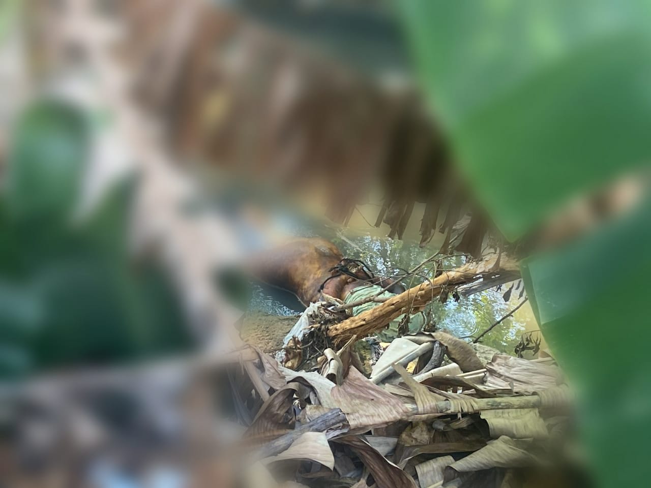 Moradores encontram corpo com sinais de tortura em igarapé de Manaus