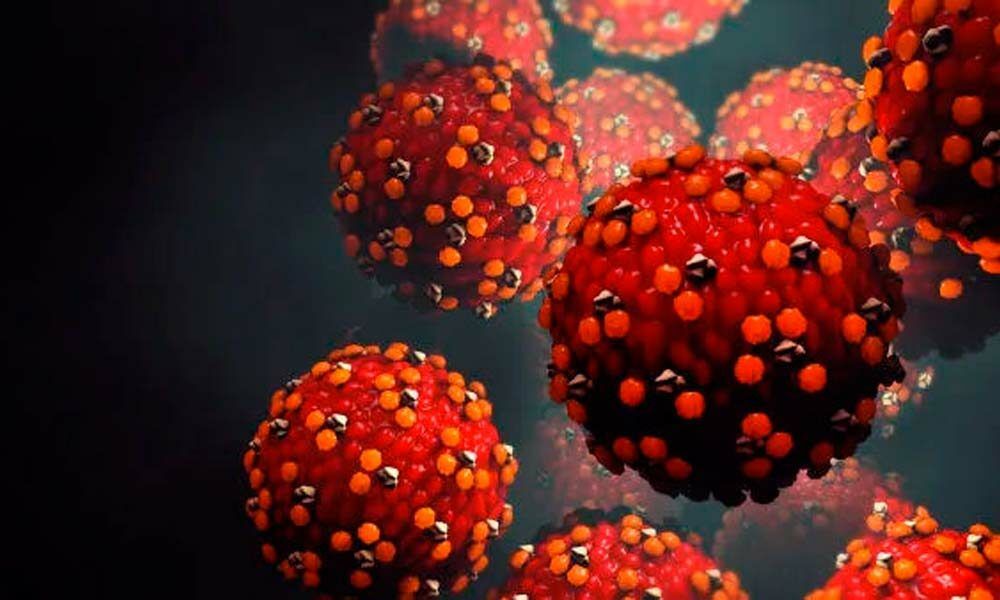 AM confirma mais oito casos de varíola dos macacos; total chega a 71