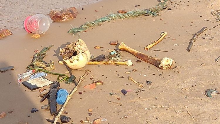 Ossada humana é encontrada às margens de rio na Manaus Moderna