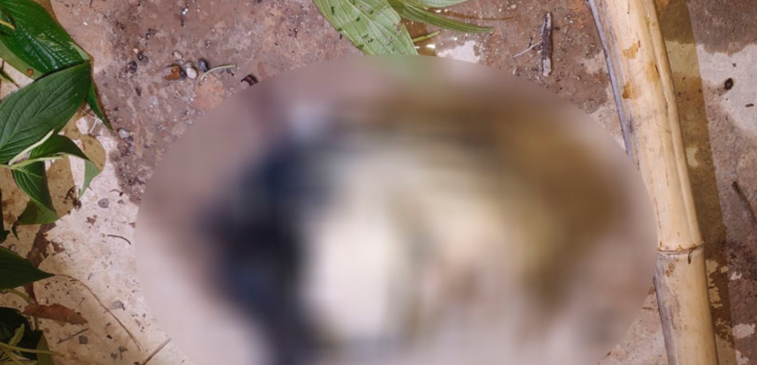 Populares encontram cabeça humana em bueiro na Zona Norte