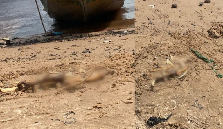 Ossada humana é encontrada novamente na orla da Manaus Moderna