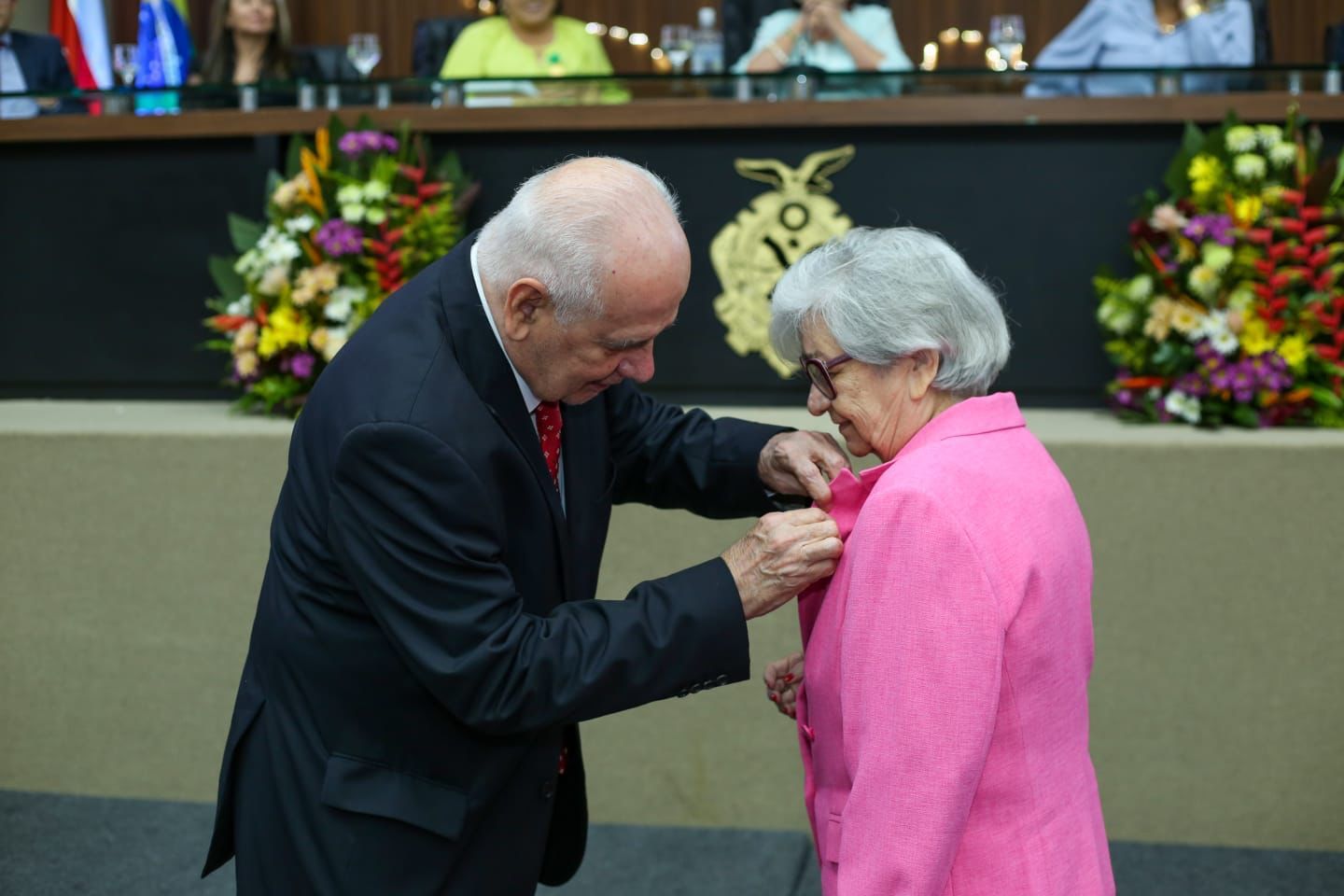 Etelvina Garcia recebe Medalha do Mérito Educacional na Aleam
