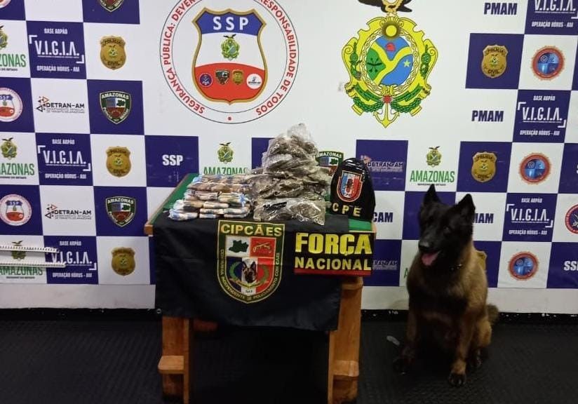 Com auxílio de cão policial, policiais apreendem 5 quilos de drogas em Coari