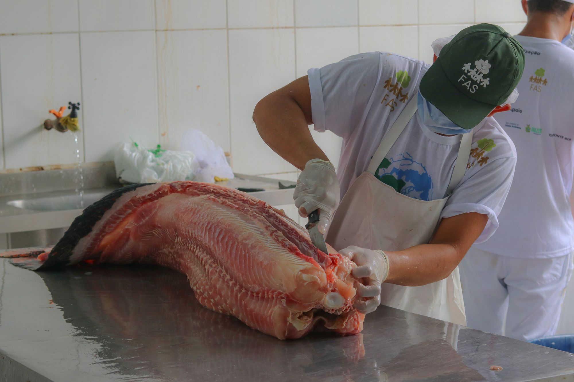 Com sete toneladas à venda, FAS realiza última feira do ano para venda de peixe manejado