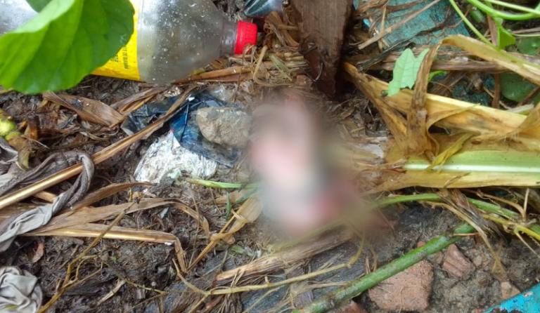 Feto é encontrado em tubulação na zona sul de Manaus