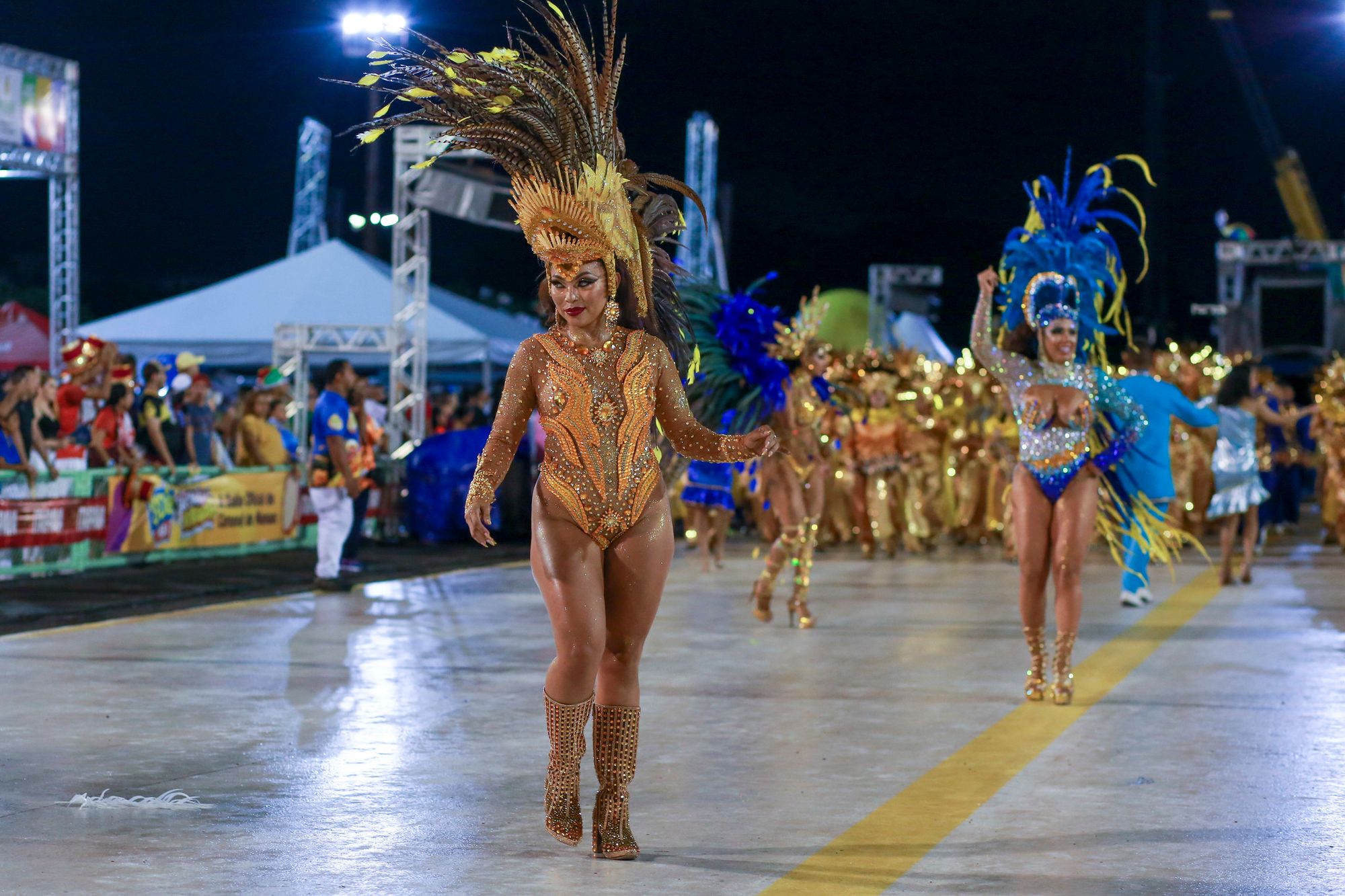 Escolas de samba do Grupo Especial levam homenagens para a avenida