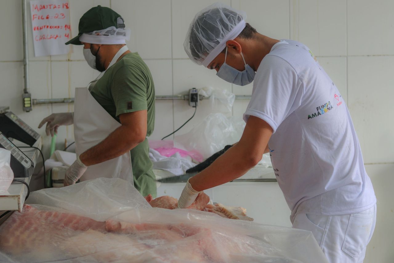 FAS realiza Feira do Pirarucu neste sábado com a venda de três toneladas de pescado