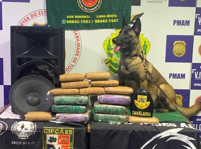 PM apreende cerca de 23 quilos de entorpecentes no AM com auxílio de cadela policial