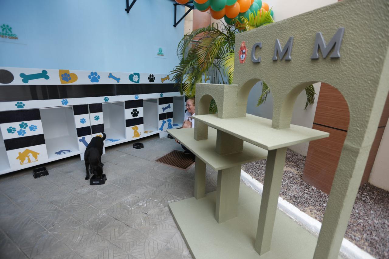 Espaço pet é inaugurado para animais que vivem nas dependências da CMM