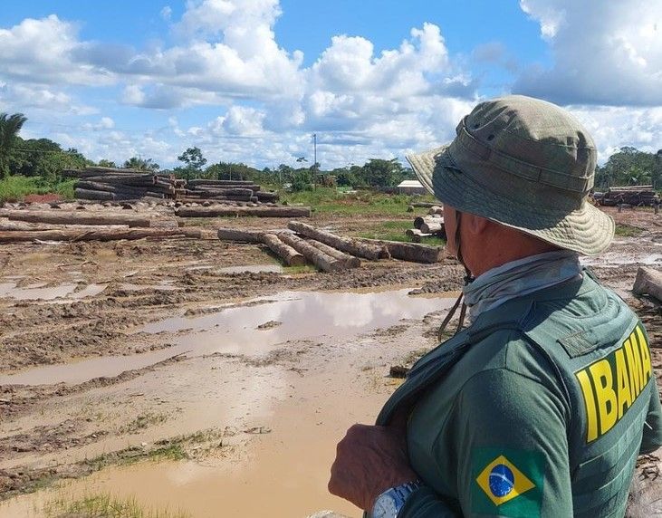 Ibama embarga área equivalente a 1,5 mil campos de futebol desmatada ilegalmente no AM