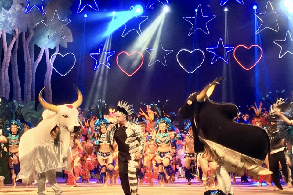 Arlindo Jr celebra a vida e anuncia shows no teatro