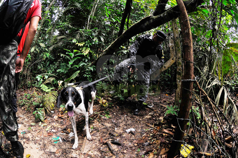 Pai também se perde procurando o filho