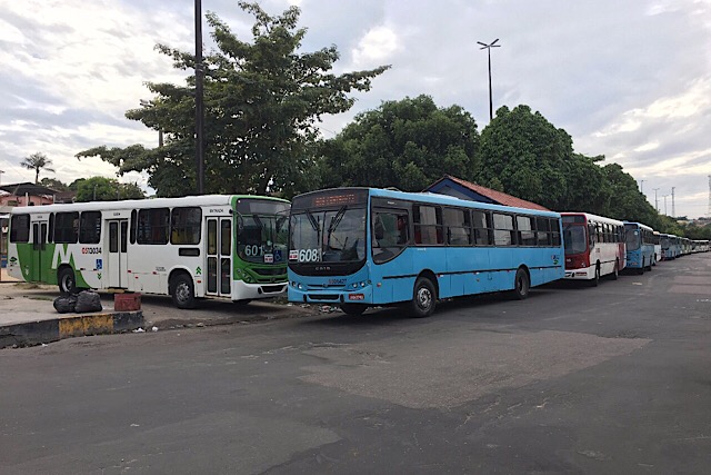 Sindicato volta a atacar e paralisa ônibus