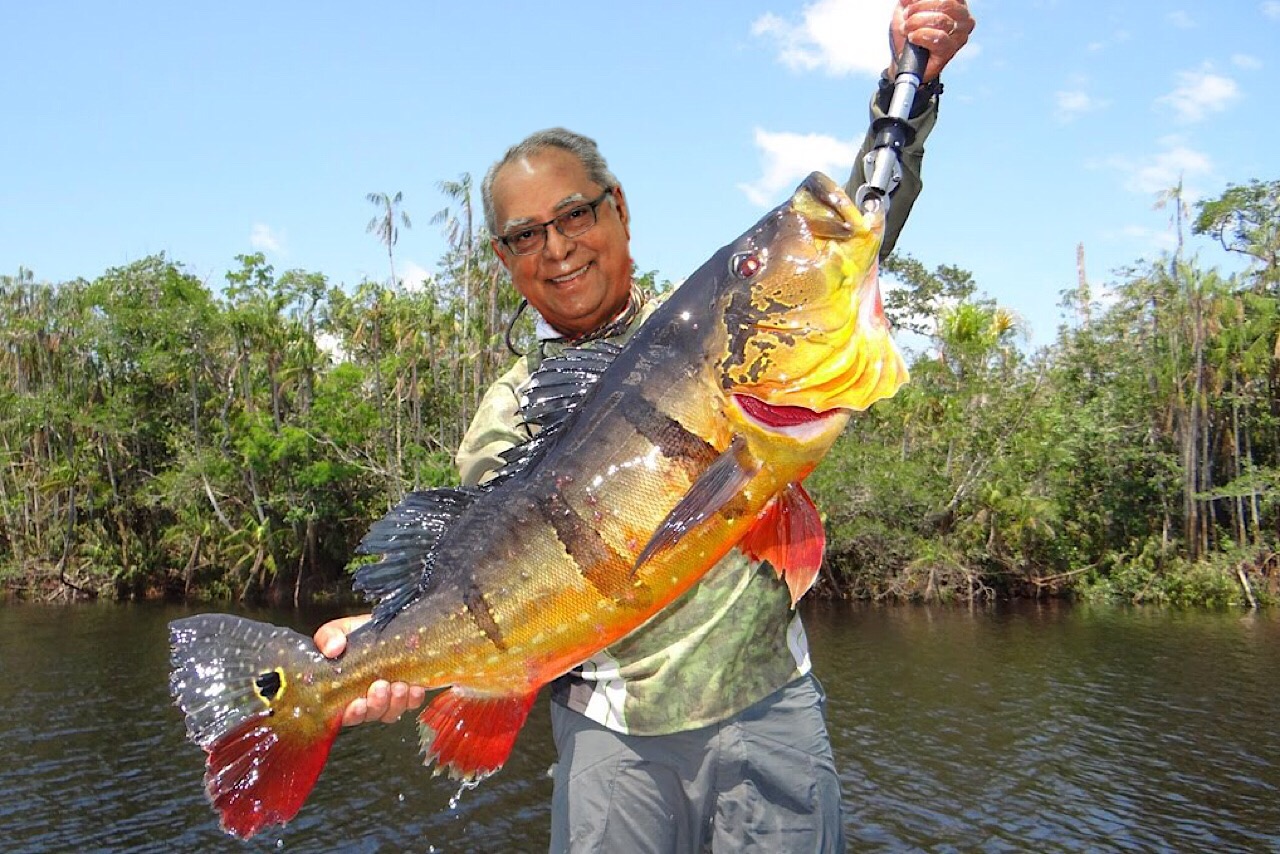 Amazonino escolhe o interior para descansar. Ele vai pescar
