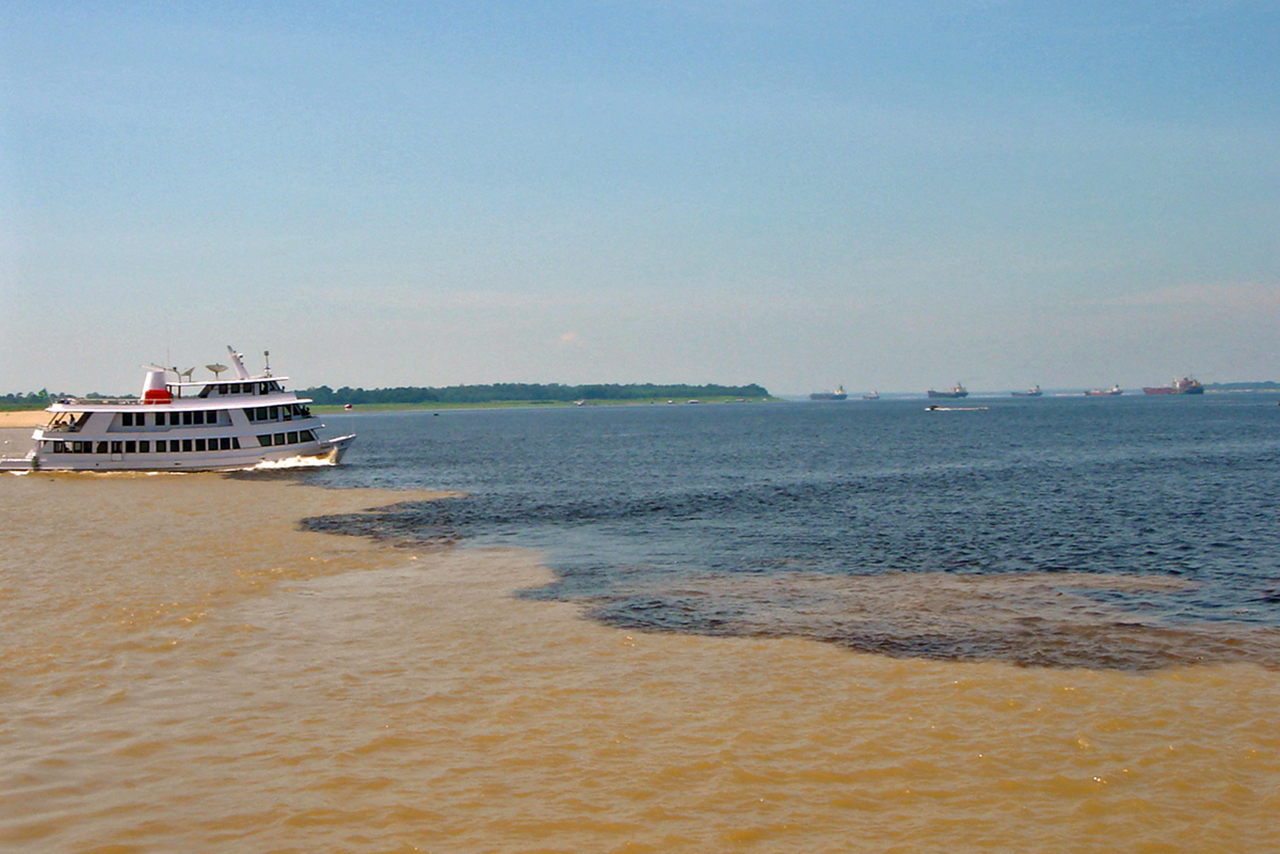 Não conhece o Amazonas? Confira algumas dicas de passeios turísticos