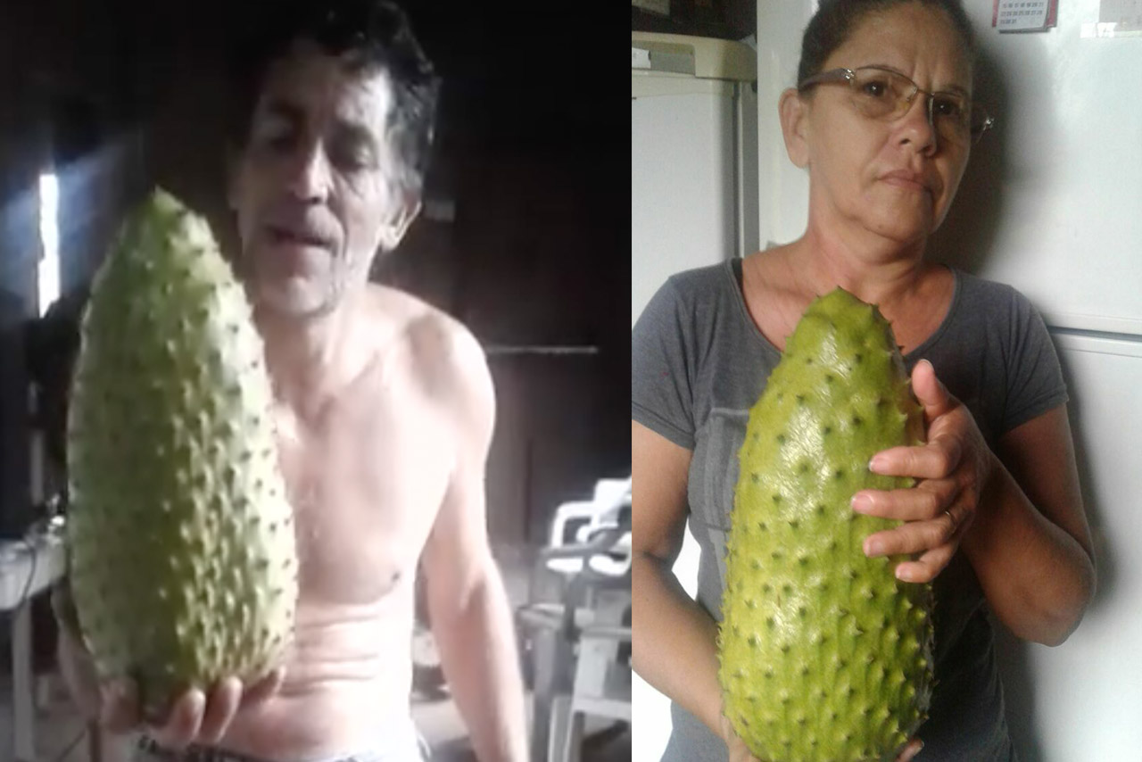 Graviola gigante chama atenção em Autazes