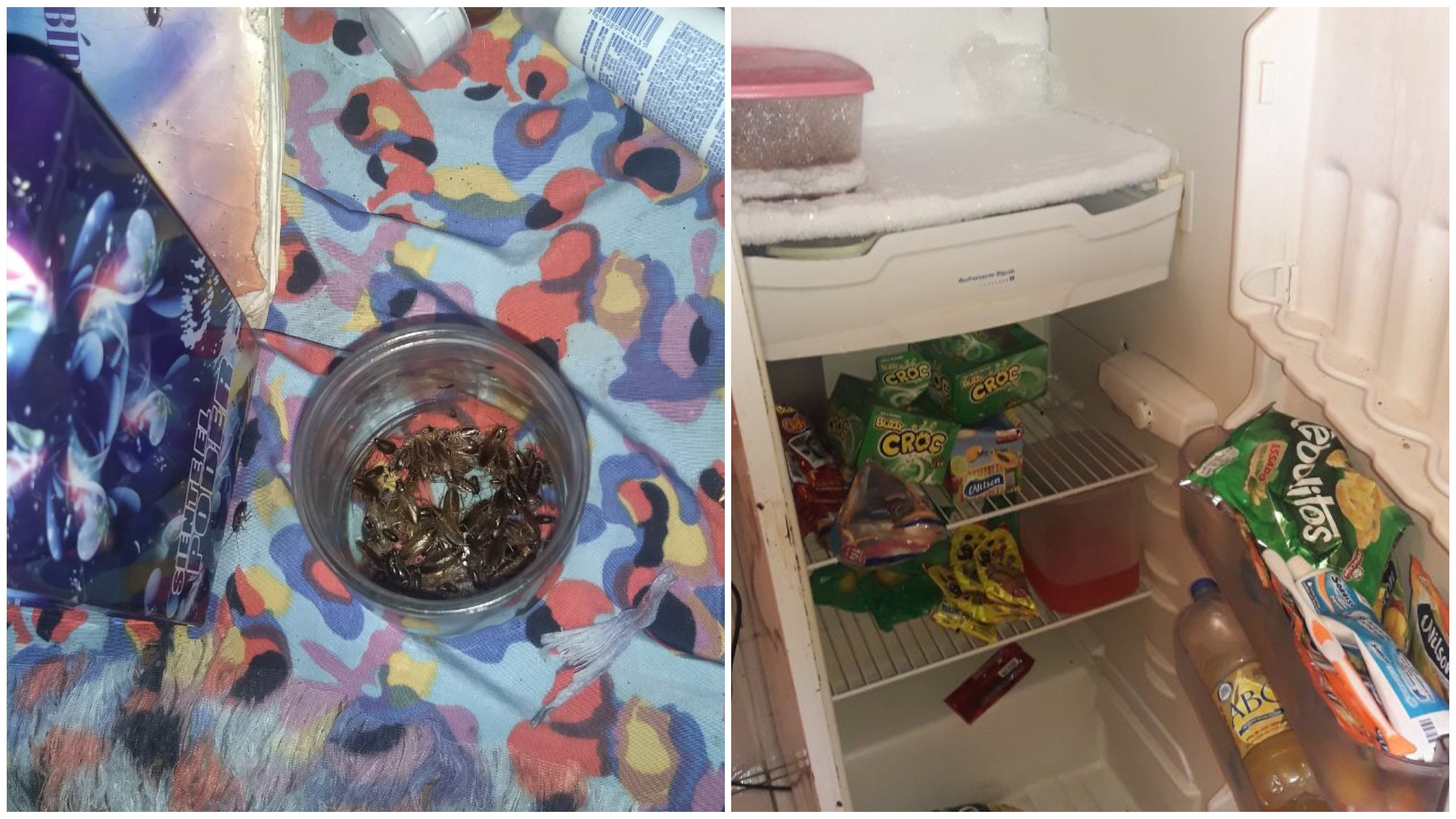 Polícia encontra crianças sem comida e dormindo com baratas no Viver Melhor