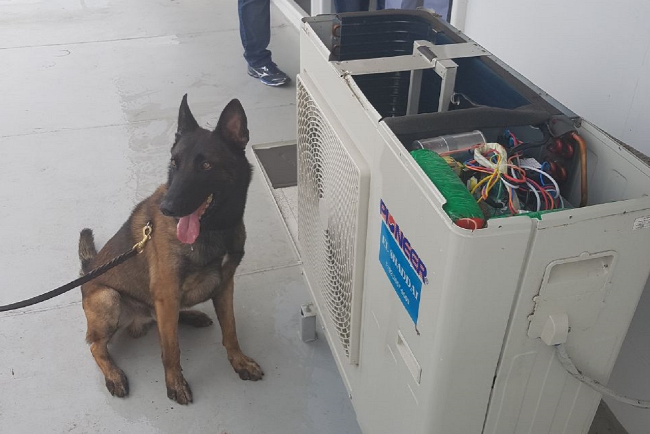 Cão farejador encontra drogas no ar condicionado de embarcação em Tabatinga