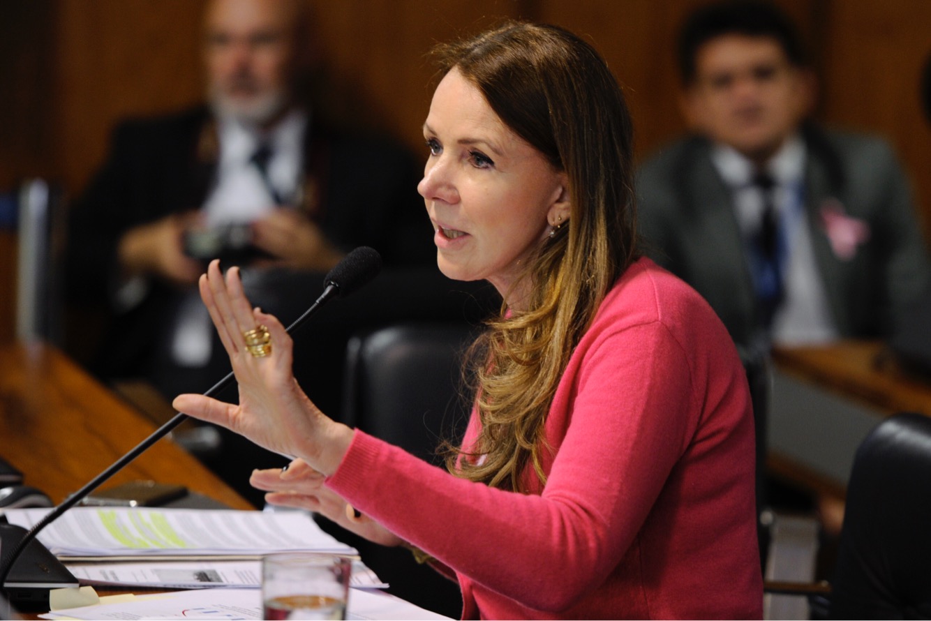 Senado vai cobrar conclusão de estudo ambiental da BR-319