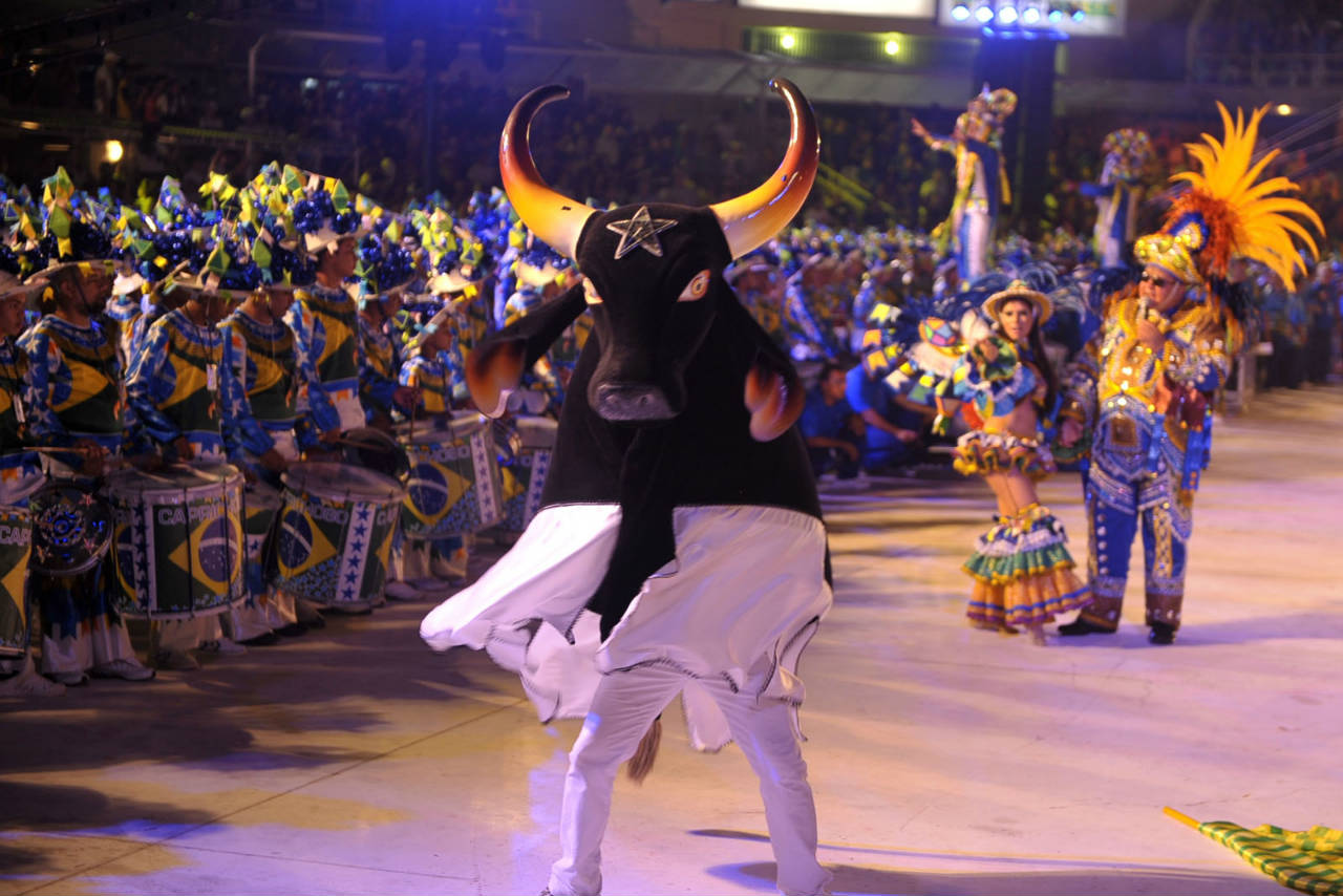Boi Caprichoso abre e fecha o 53° Festival Folclórico de Parintins
