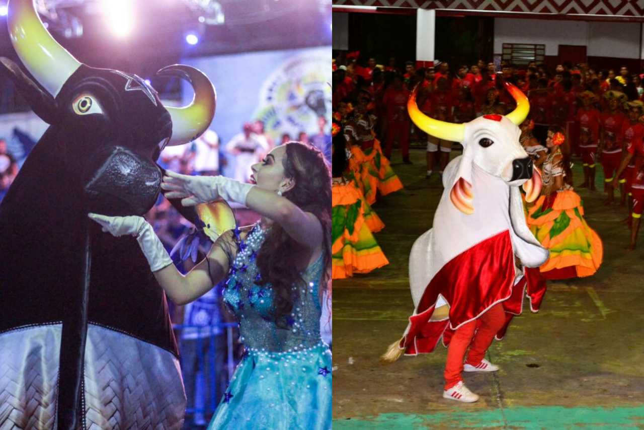 Bumbás concluem ensaios e se dizem vitoriosos