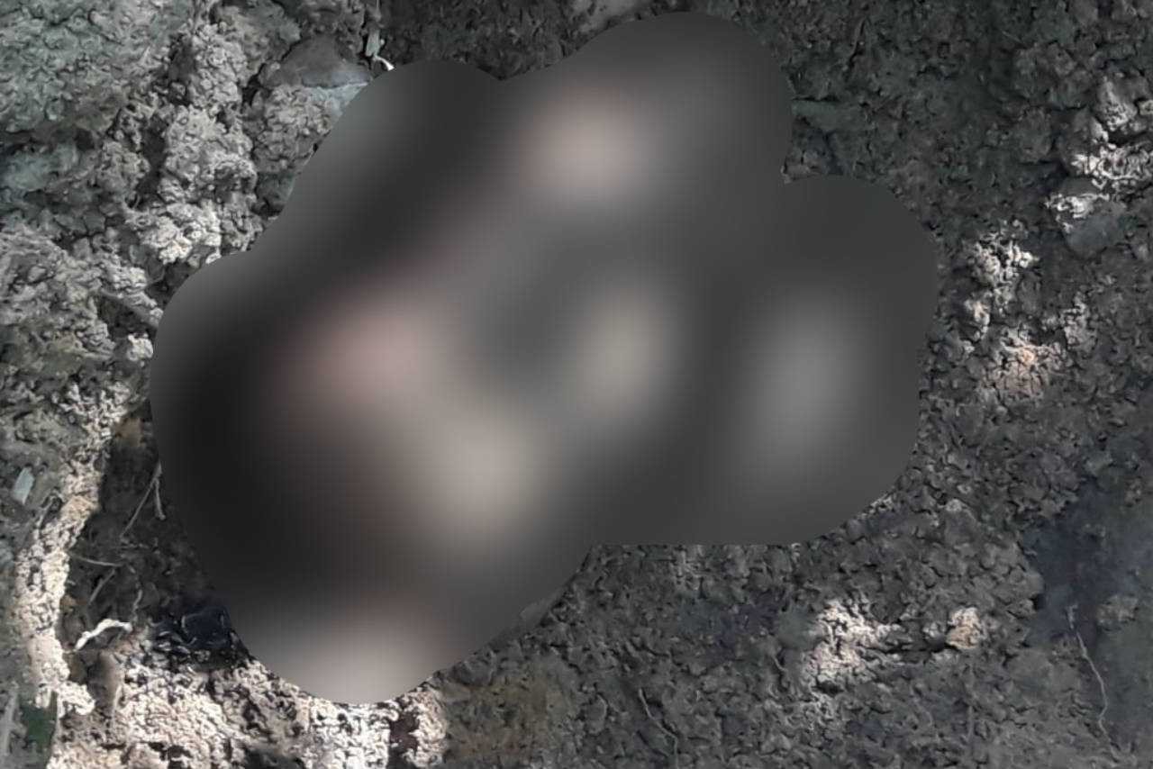 Corpo é encontrado enterrado no Viver Melhor 3, em Manaus