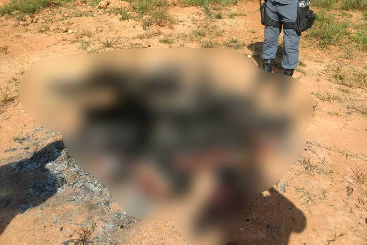 Corpos carbonizados são encontrados em estrada do interior do AM
