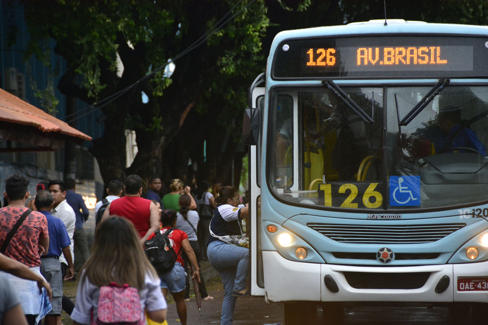 Vereadores se reúnem no sábado para decidir sobre gratuidade de ônibus na eleição 