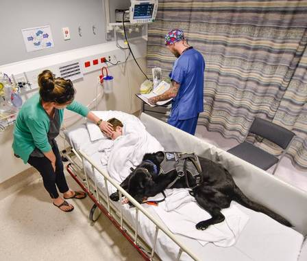 Projeto que permite visita de animais em hospitais é aprovado pela Aleam