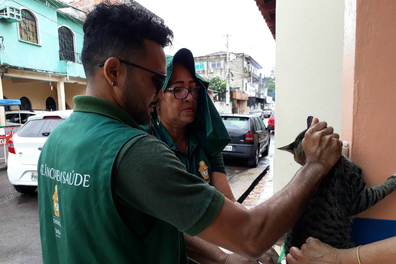 Mais de 234 mil cães e gatos recebem vacina antirrábica em Manaus