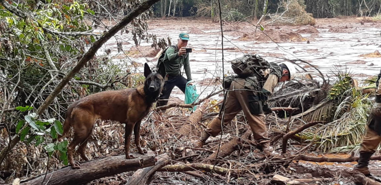Amazonenses ajudam nas buscas por desaparecidos em Brumadinho