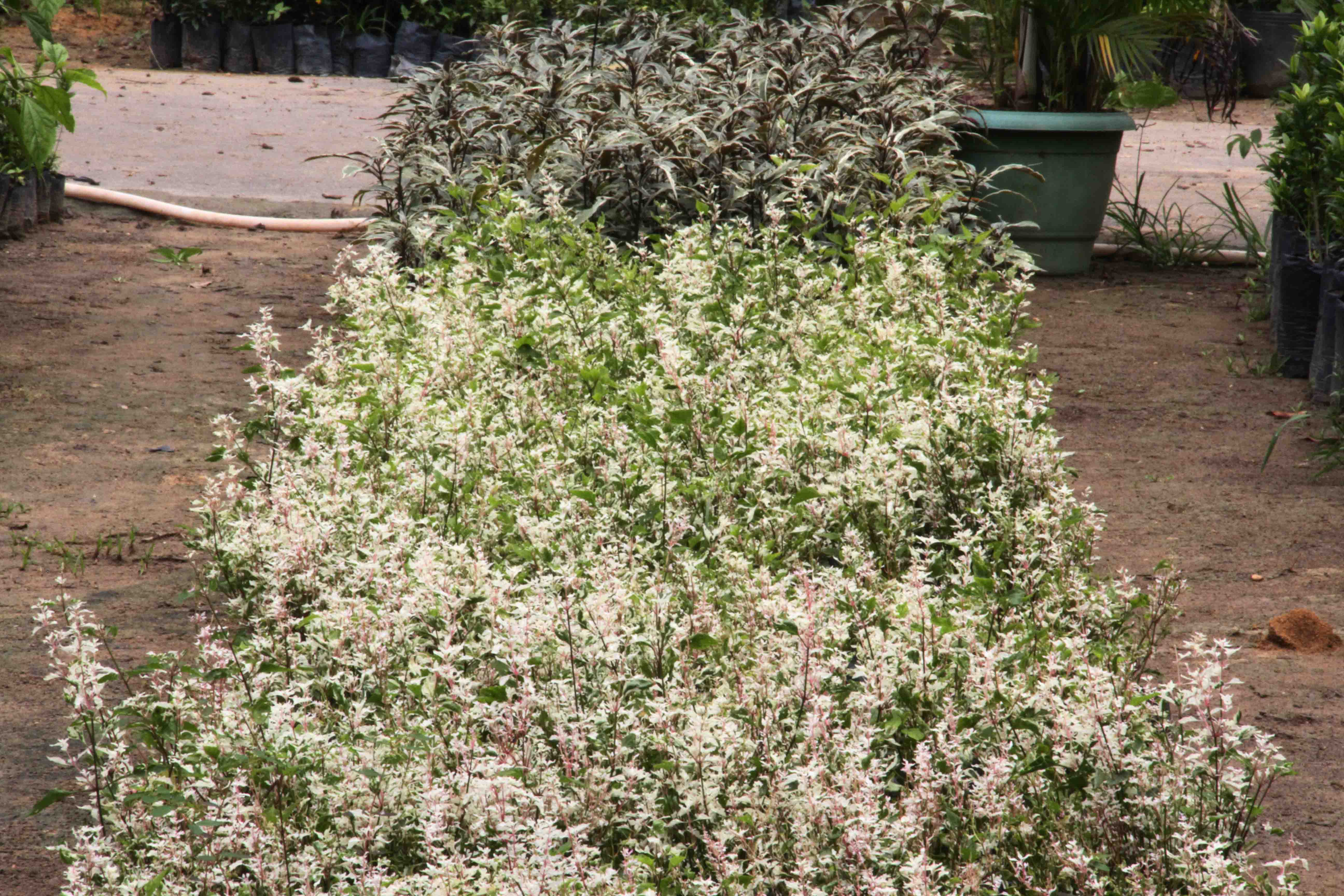 Prefeitura vai oferecer duas edições mensais de minicursos gratuitos a partir deste ano