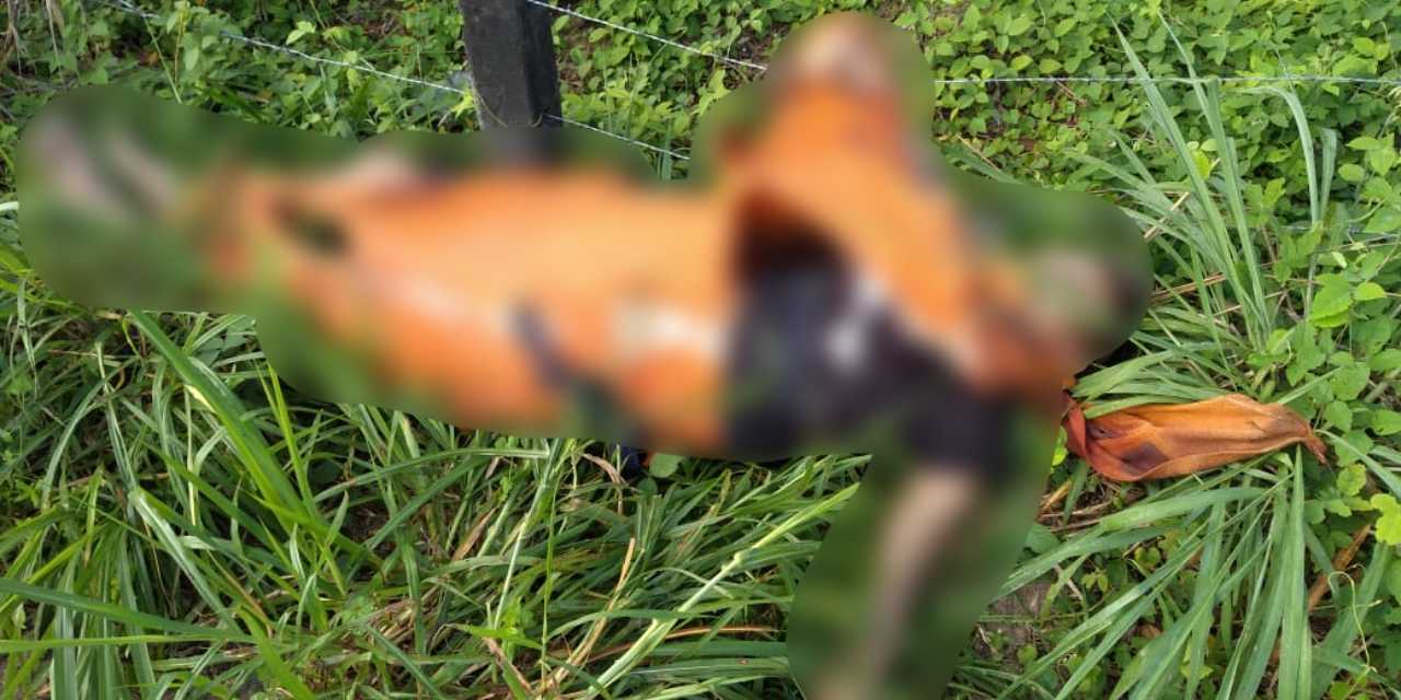 Corpo de jovem é encontrado enrolado em lençol no Distrito Industrial