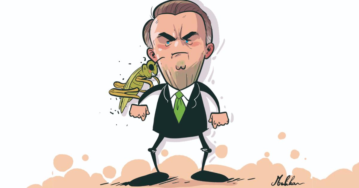 Dito &#038; Feito &#8211; Grilo falante