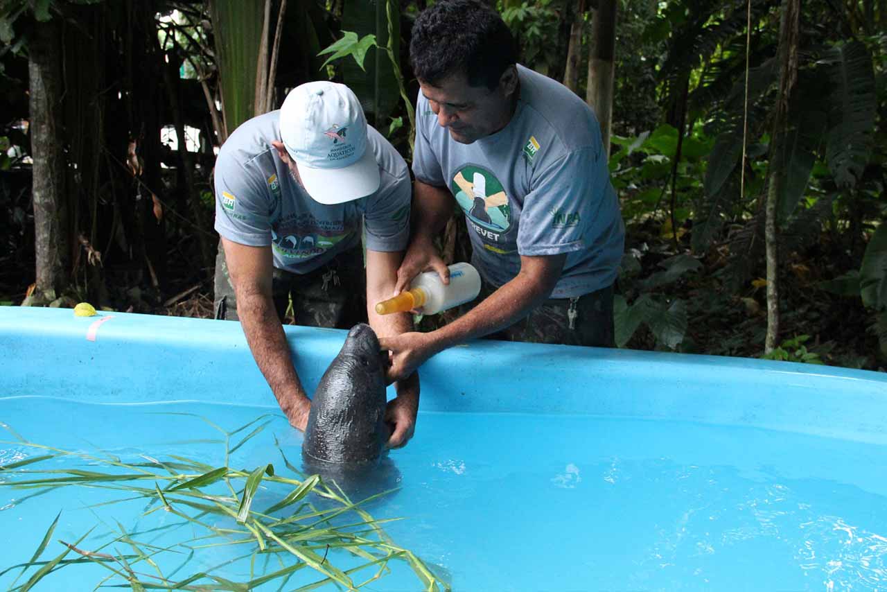 Governo federal volta atrás e libera verbas do Inpa