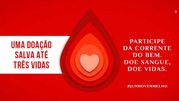 Sua doação de sangue pode salvar até três vidas﻿